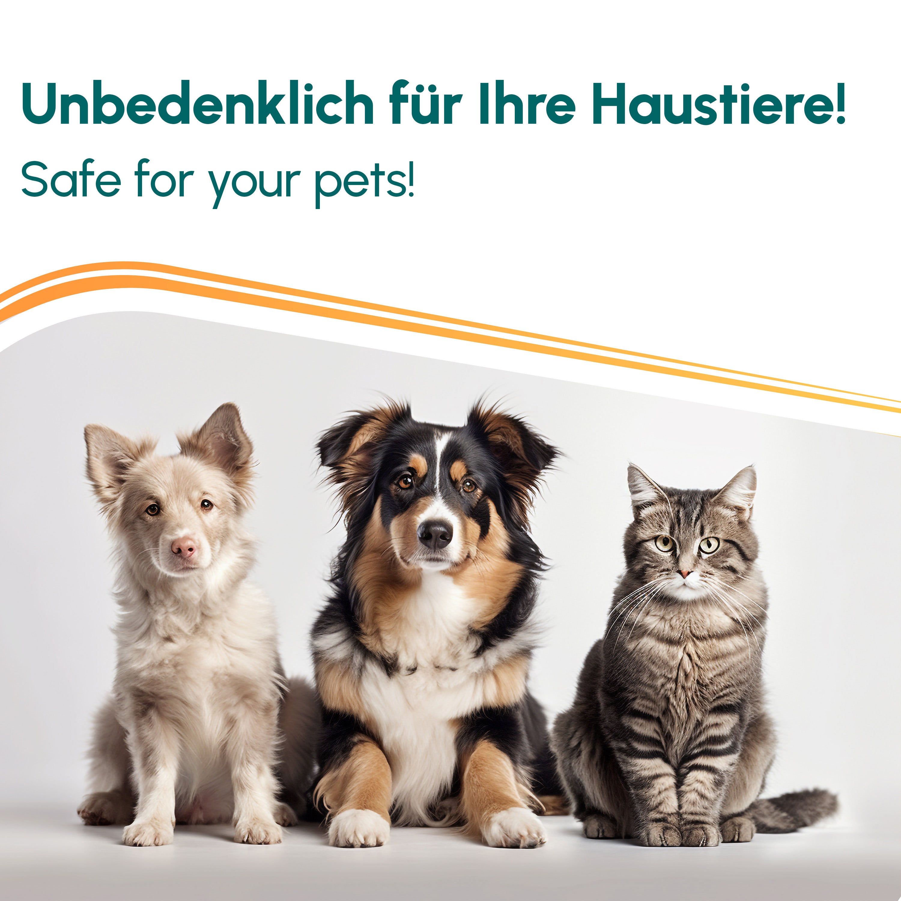 Anti Giardien-Wischkonzentrat