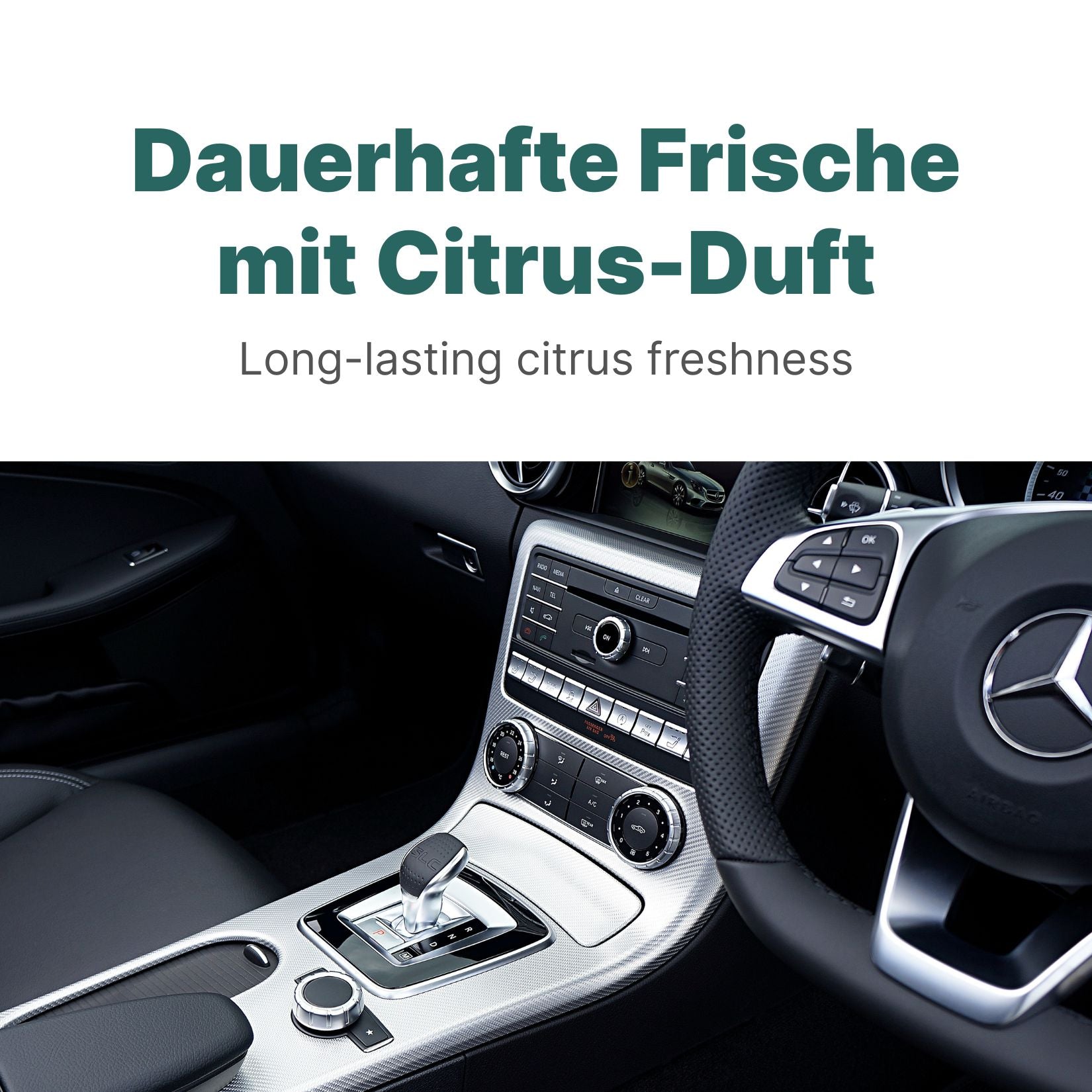 Teppich- & Polsterreiniger Konzentrat