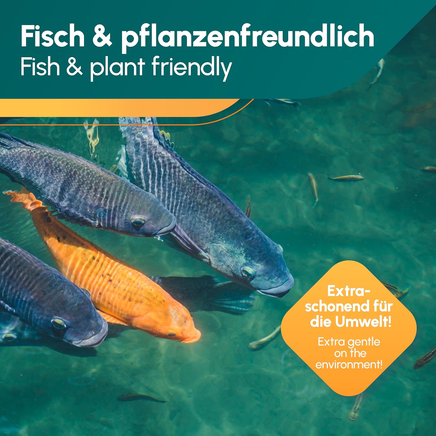 Teichpflege & Brunnenreiniger