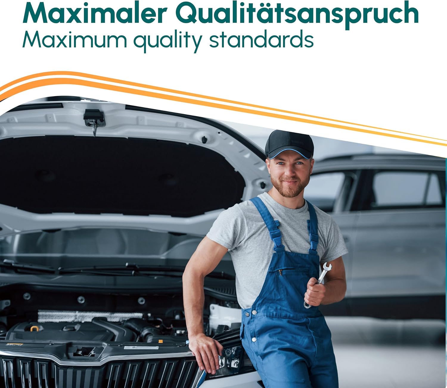 Felgenreiniger Wheel Star