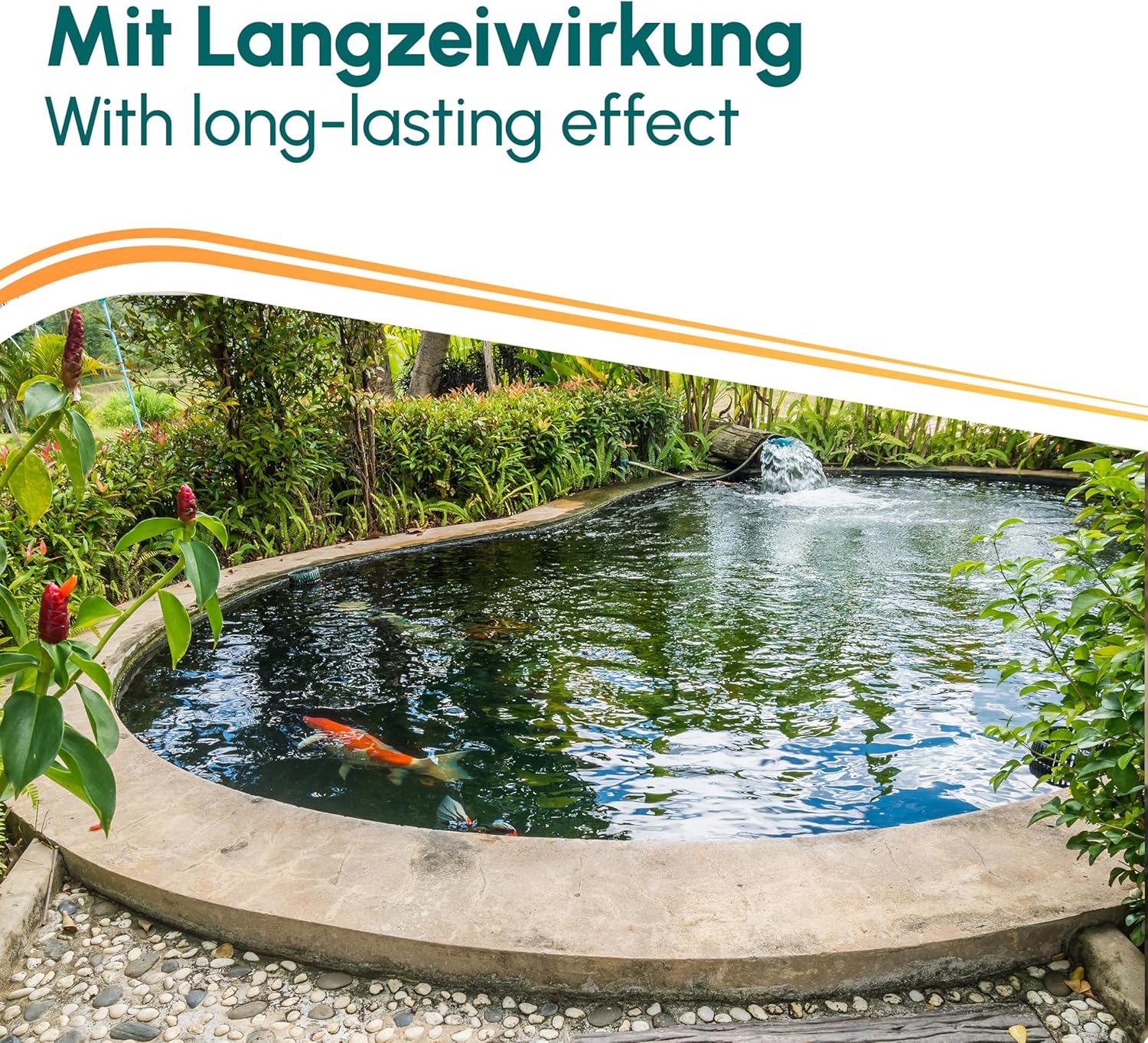 Teichpflege & Brunnenreiniger