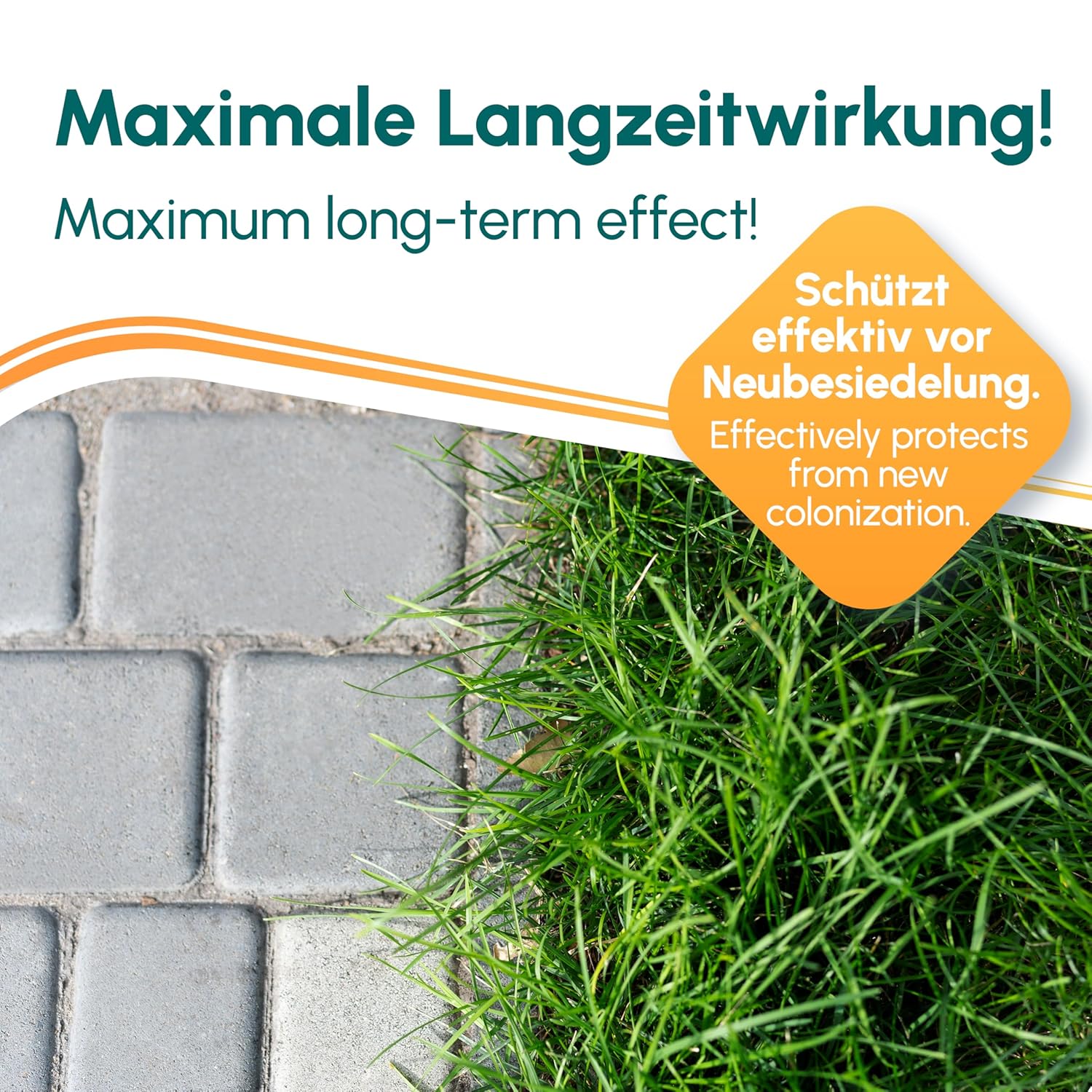 Wege Clean Konzentrat