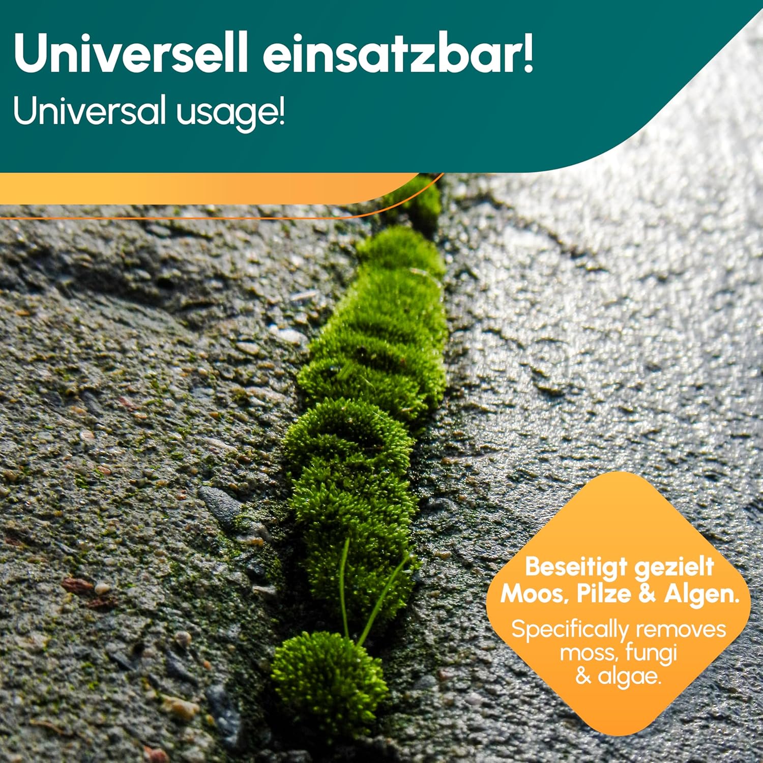 Wege Clean Konzentrat