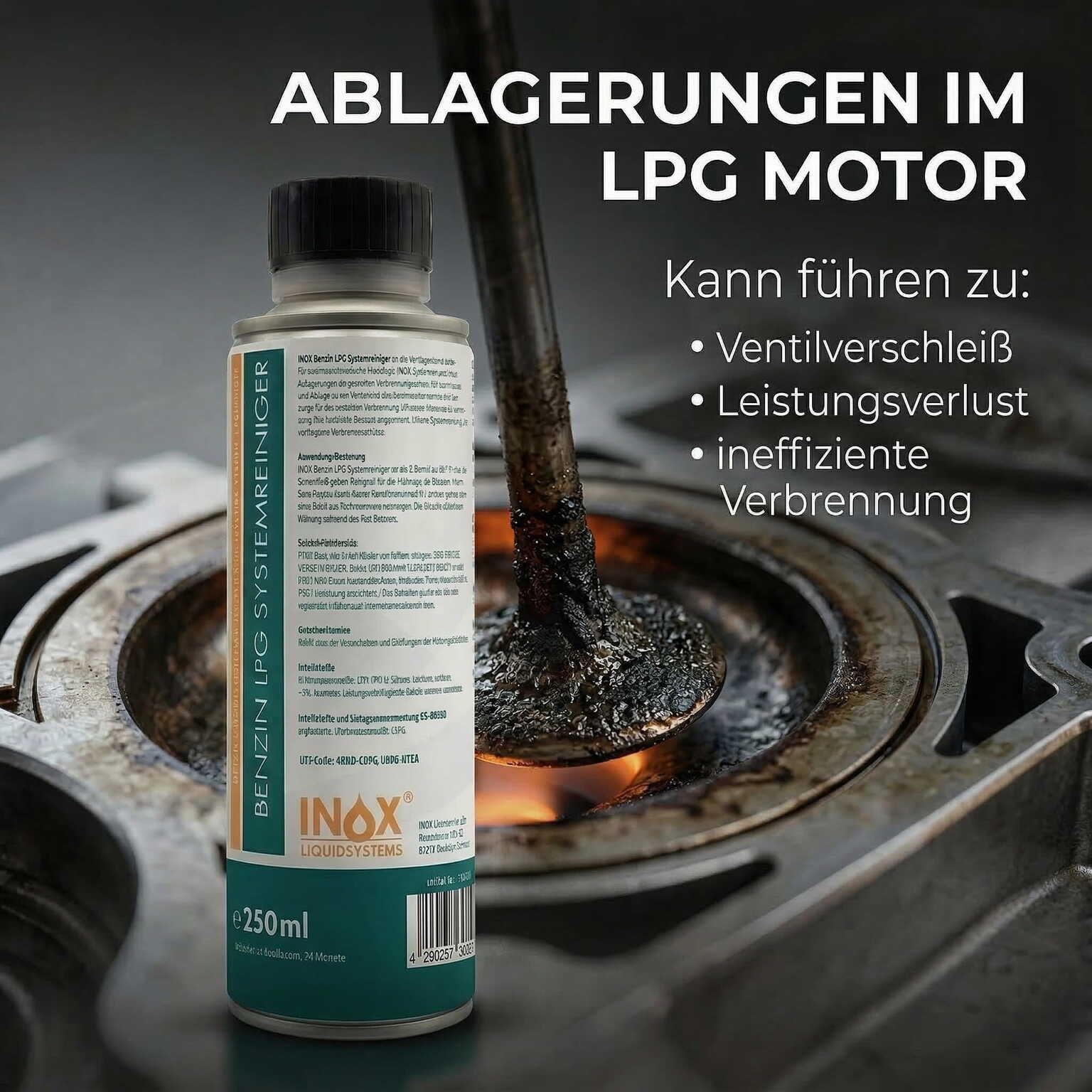 LPG Benzinsystemreiniger Additiv
