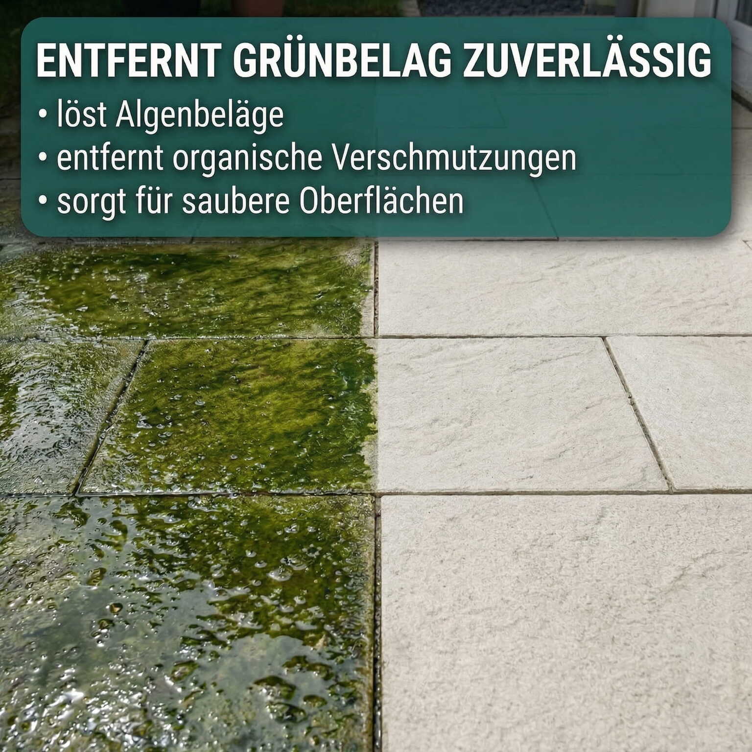 Grünbelagentferner Konzentrat