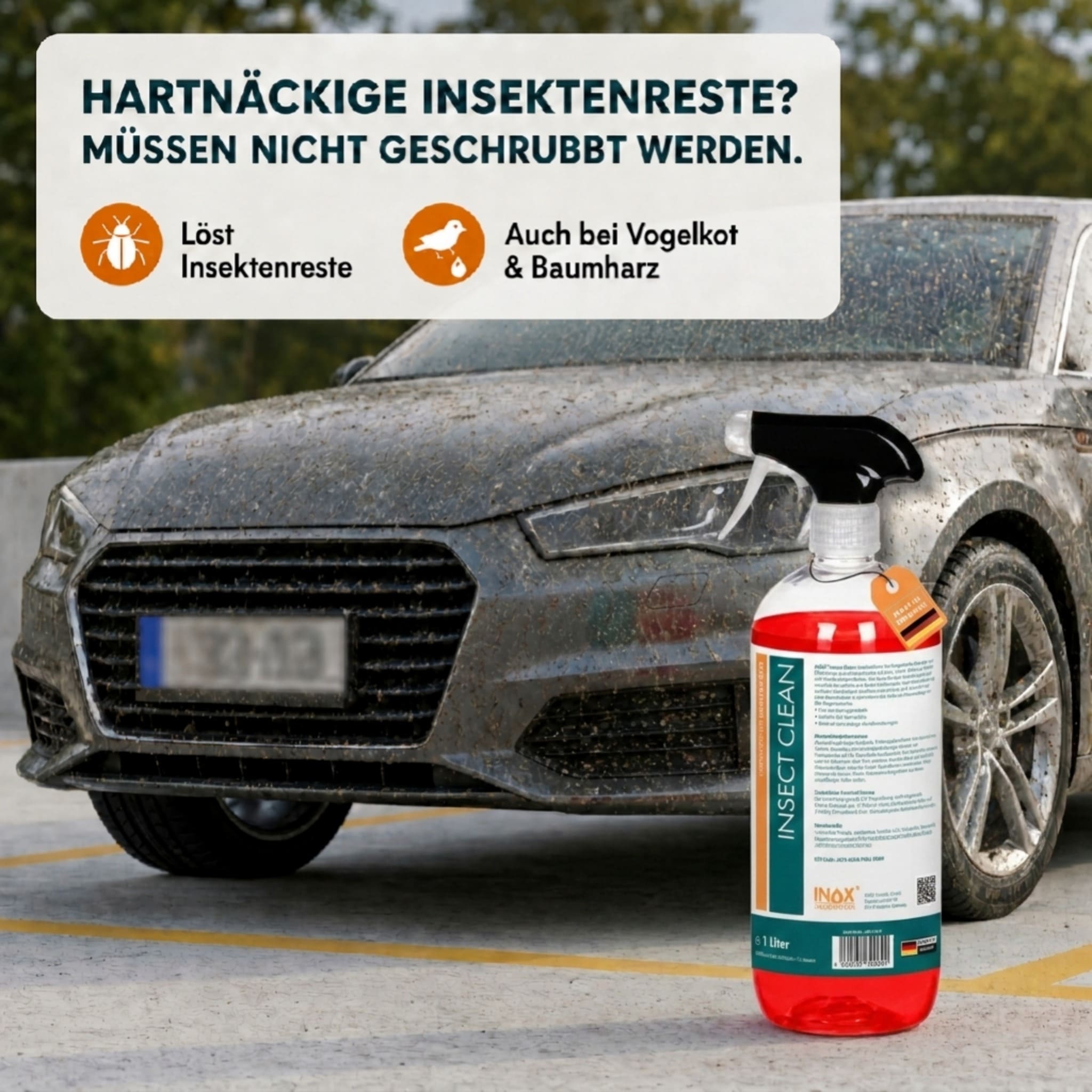 Insektenreiniger Auto