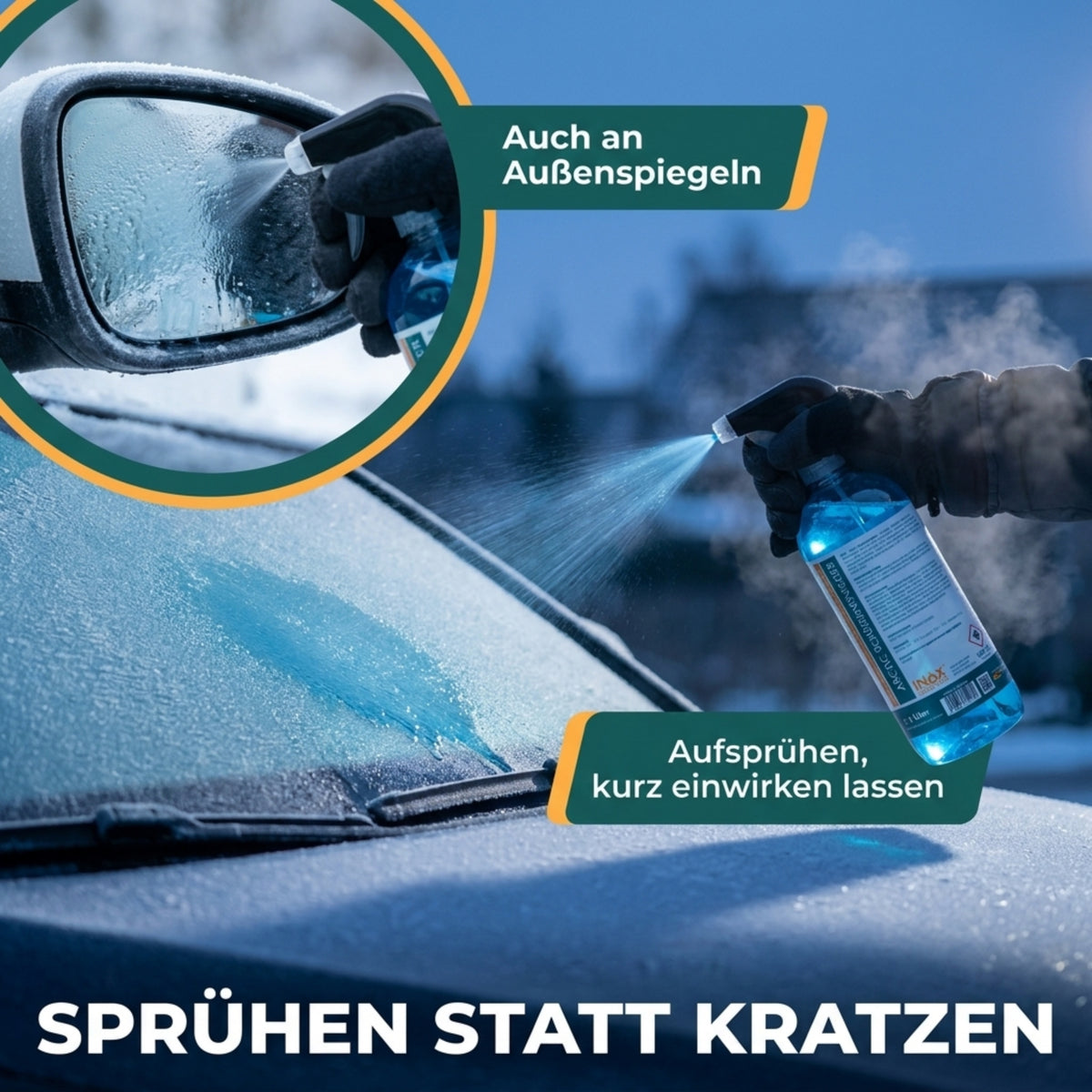 Arctic Scheibenenteiser