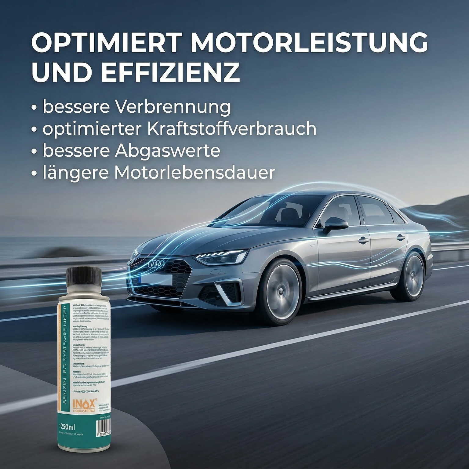 LPG Benzinsystemreiniger Additiv
