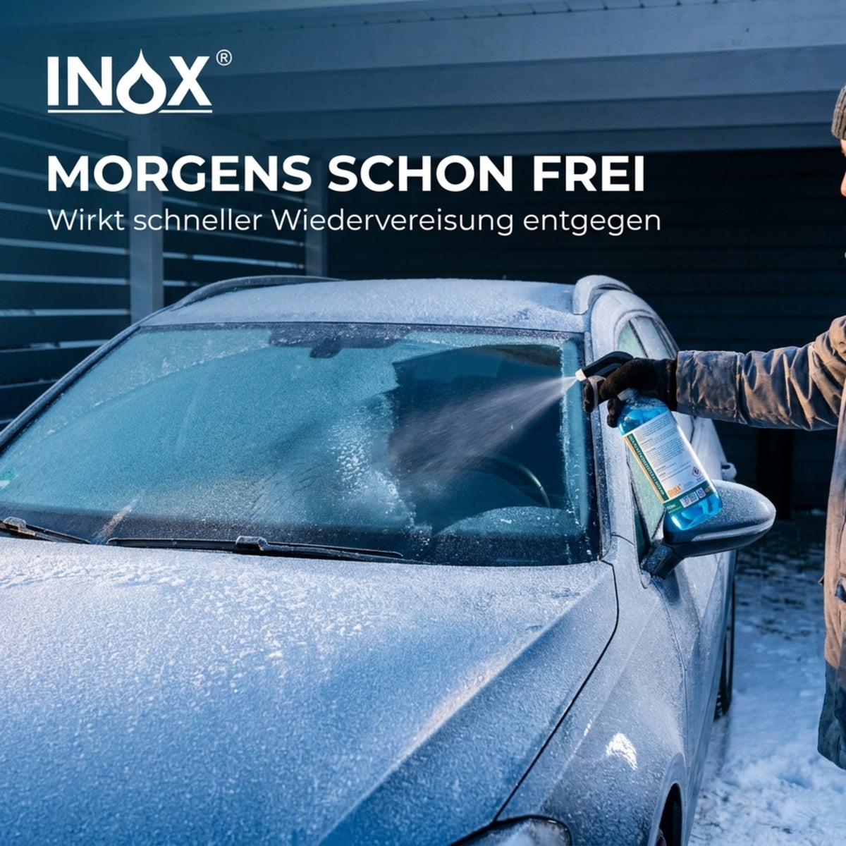 Arctic Scheibenenteiser